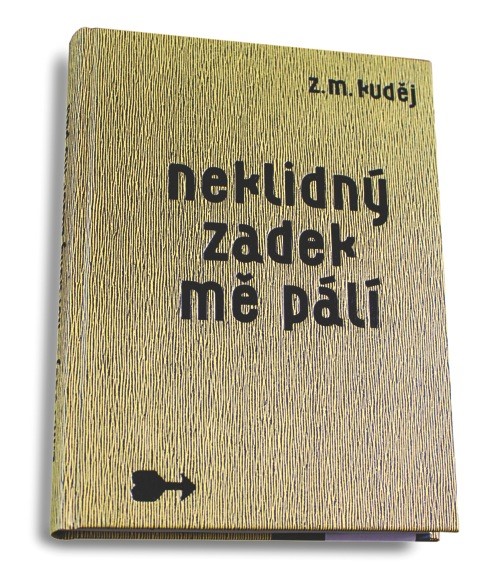 Cena Kraje Vysočina za nejkrásnější knihu